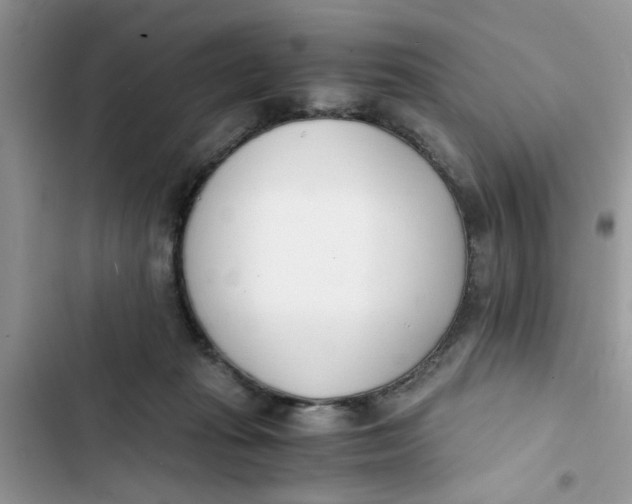 X0000103270269200809191749