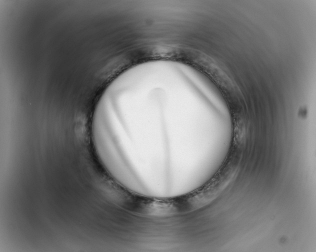 X0000103270270200809191749