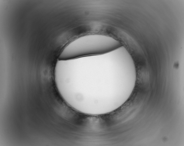 X0000103270272200809191749