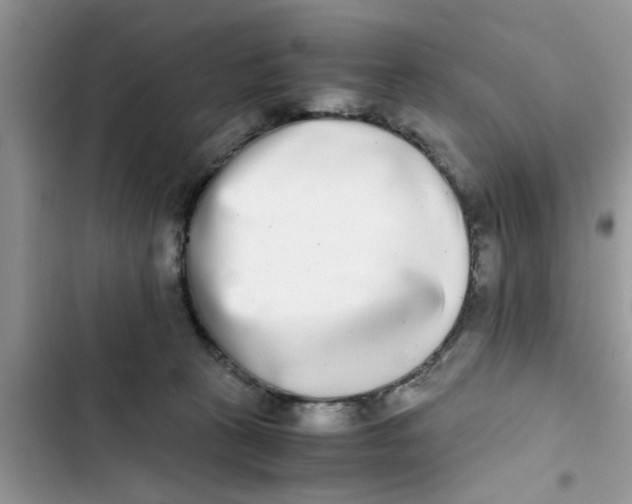 X0000103270273200809191749
