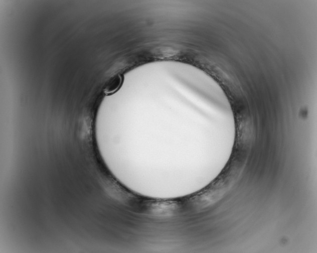 X0000103270274200809191749