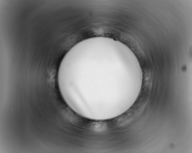 X0000103270275200809191749