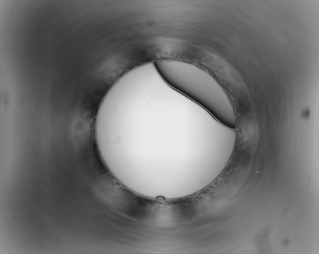X0000103270276200809191749