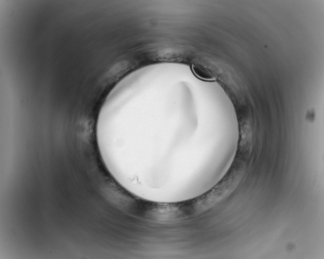 X0000103270278200809191749