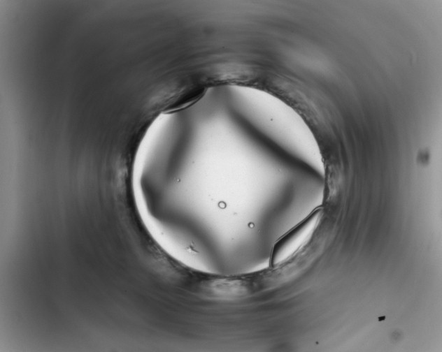 X0000103270279200809191749