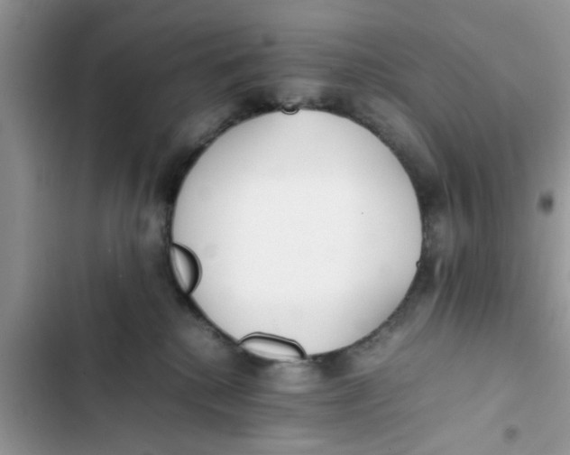 X0000103270280200809191749