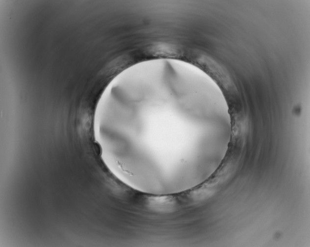 X0000103270281200809191749