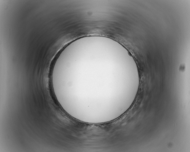 X0000103270290200809191749