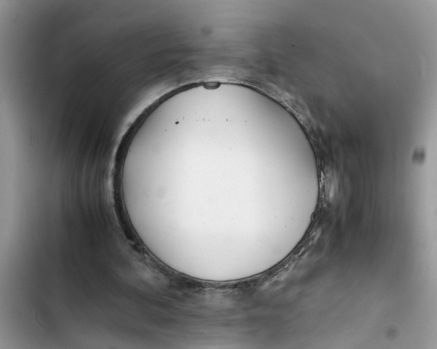 X0000103270292200809191749