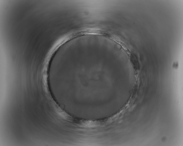 X0000103270293200809191749