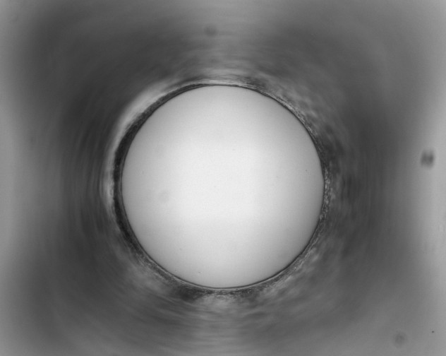 X0000103270294200809191749