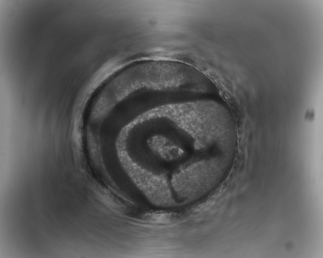 X0000103270295200809191749