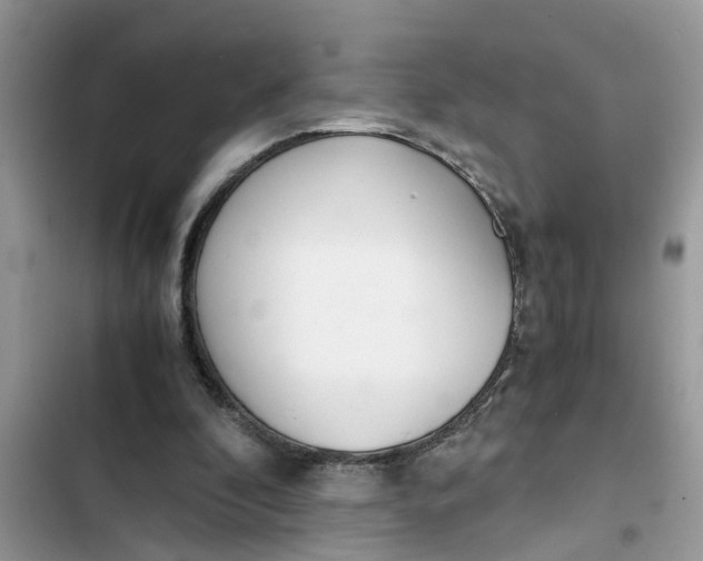 X0000103270296200809191749