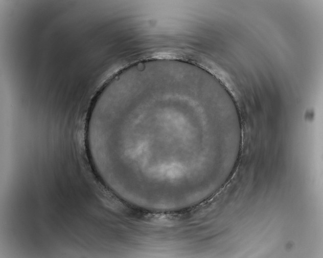 X0000103270297200809191749