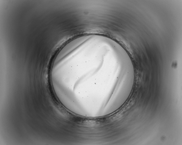X0000103270298200809191749
