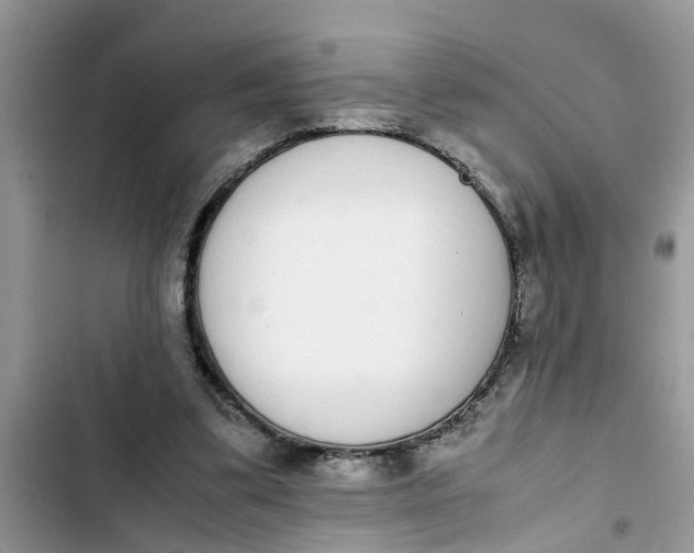 X0000103270299200809191749