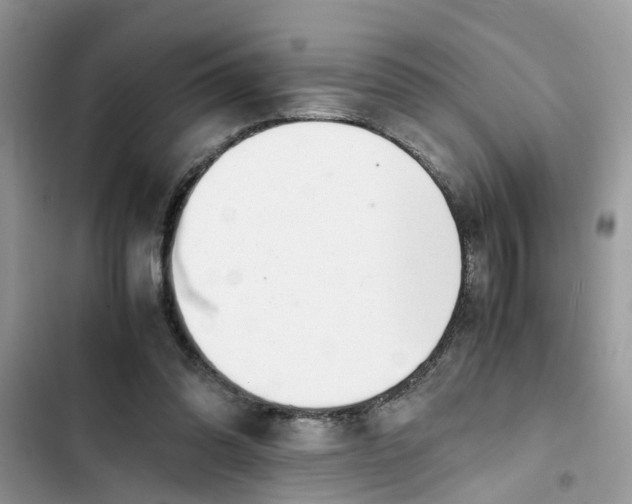 X0000103270302200809191749