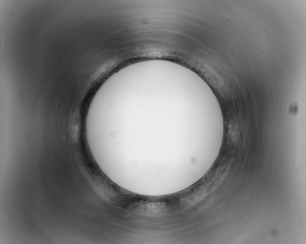 X0000103270304200809191749