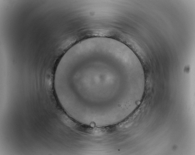 X0000103270305200809191749