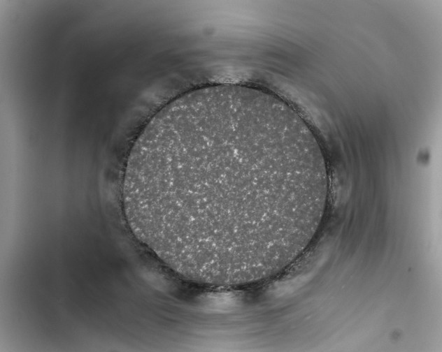 X0000103270307200809191749