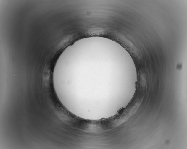 X0000103270308200809191748