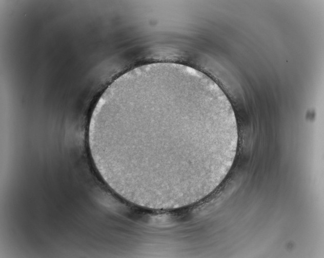X0000103270309200809191748