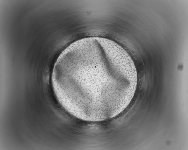 X0000103270310200809191748