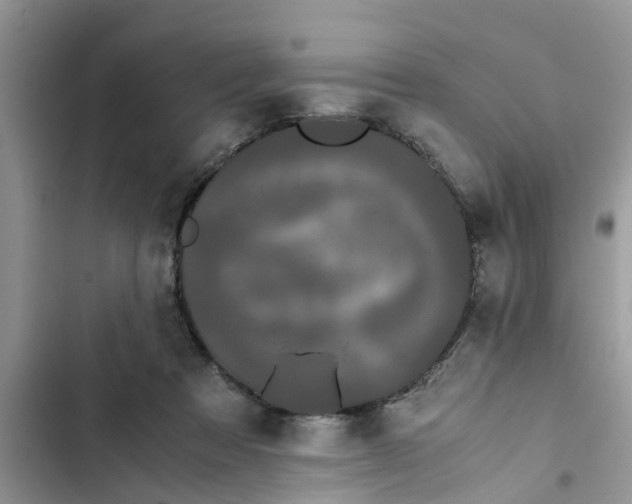 X0000103270313200809191748