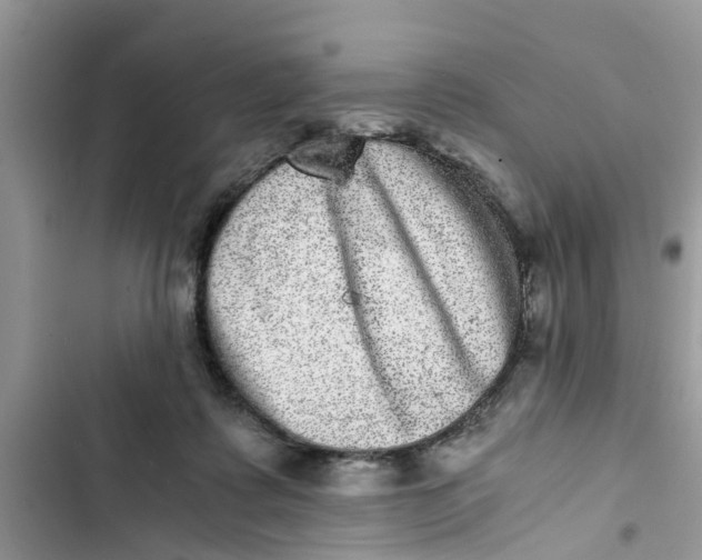 X0000103270315200809191748