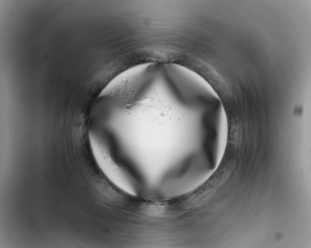 X0000103270318200809191748