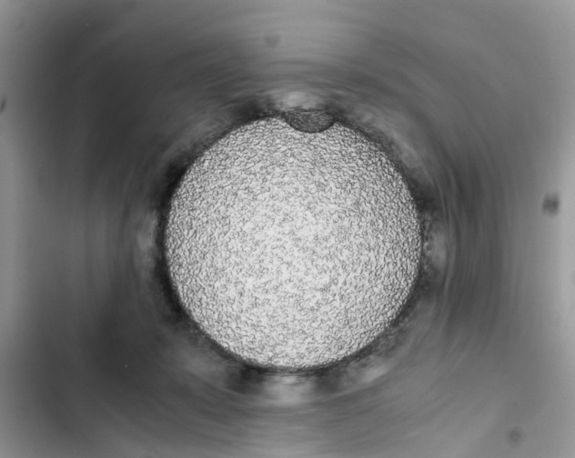 X0000103270319200809191748