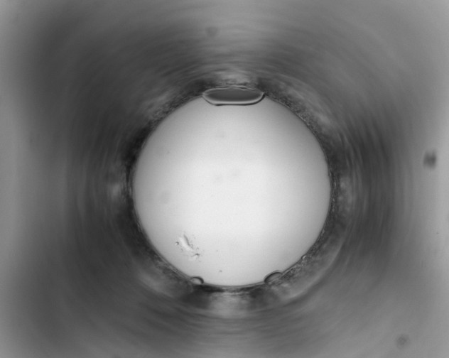 X0000103270320200809191748