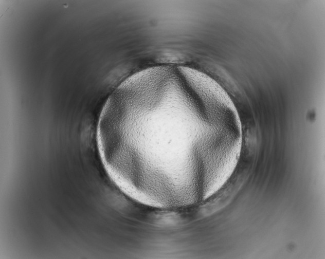 X0000103270322200809191748