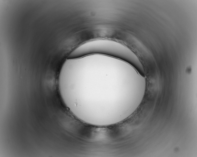 X0000103270324200809191748