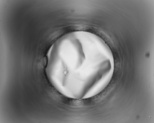 X0000103270325200809191748