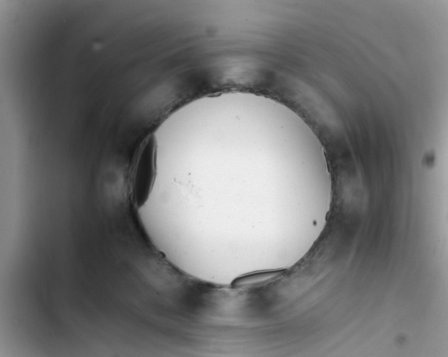 X0000103270328200809191748