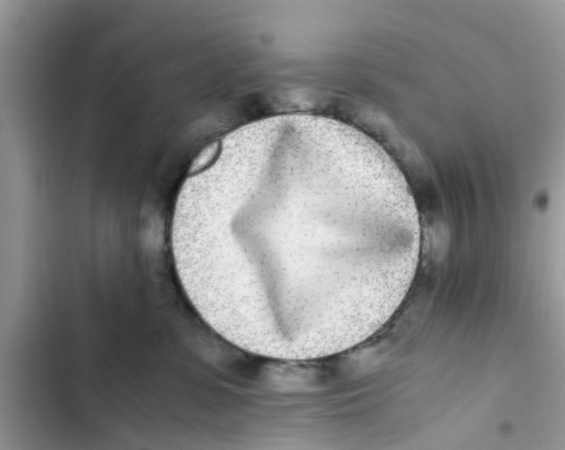 X0000103270331200809191748