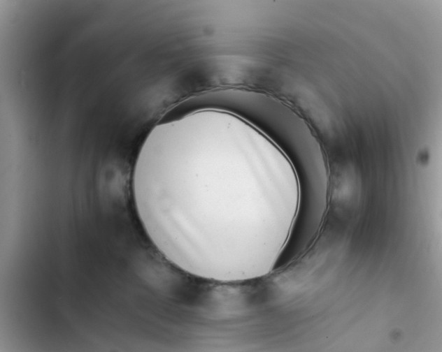 X0000103270332200809191748