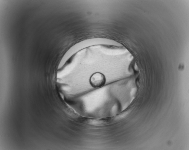 X0000103270336200809191748