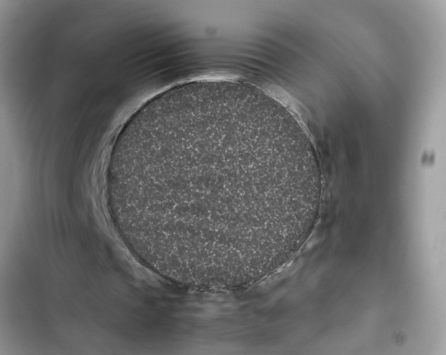 X0000103270337200809191747