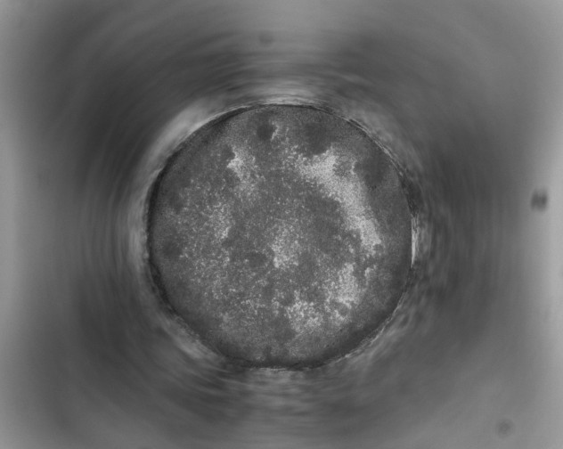 X0000103270339200809191747