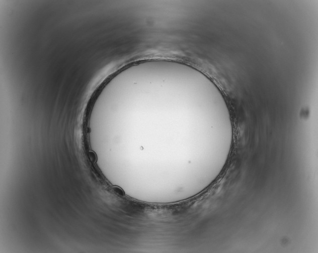 X0000103270340200809191747