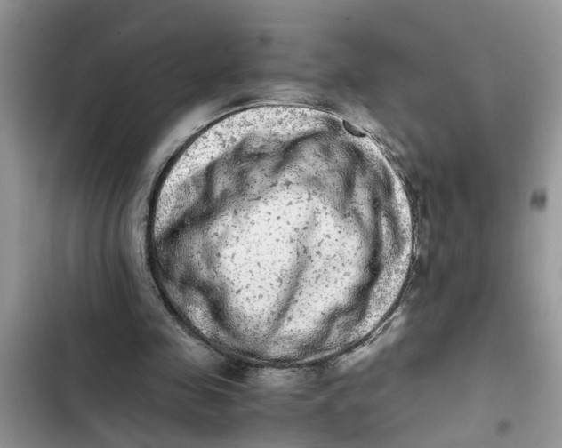 X0000103270341200809191747