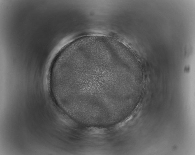 X0000103270343200809191748