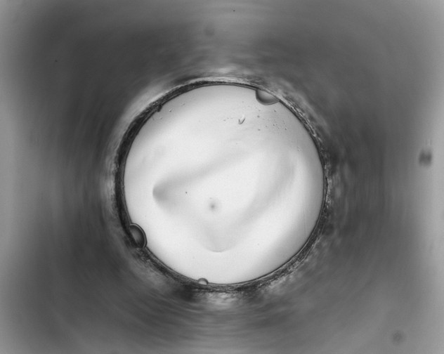 X0000103270344200809191748