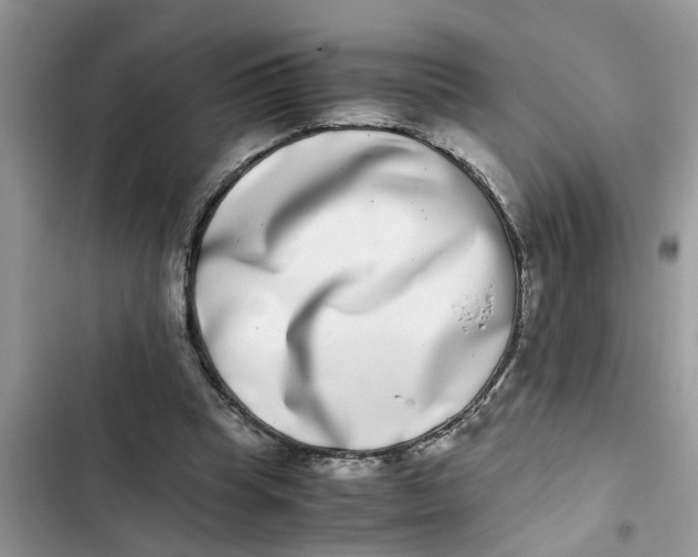 X0000103270345200809191748