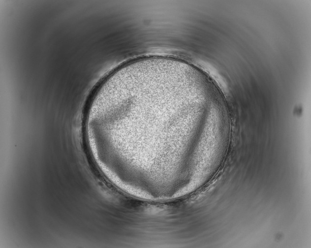 X0000103270346200809191748