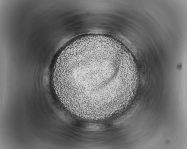 X0000103270347200809191748