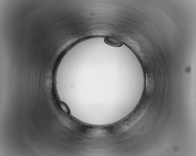 X0000103270348200809191748