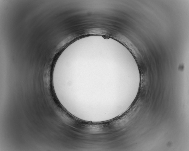 X0000103270349200809191748